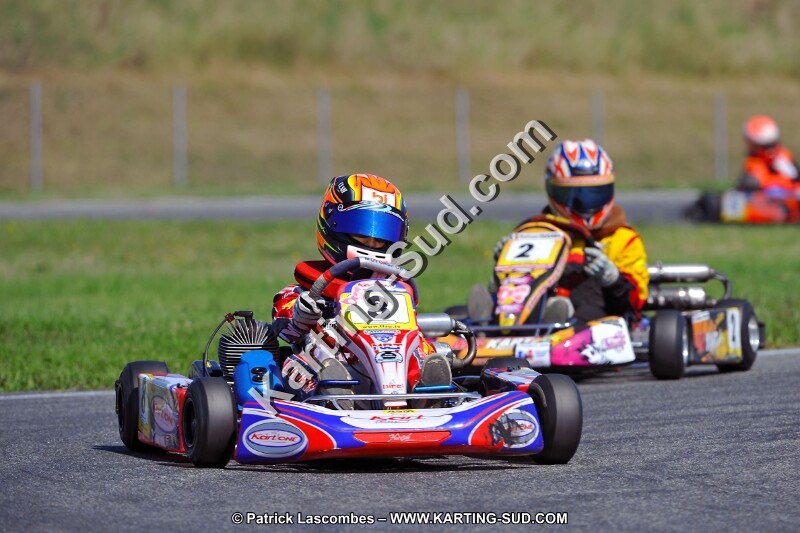 DSC_ (1378).jpg